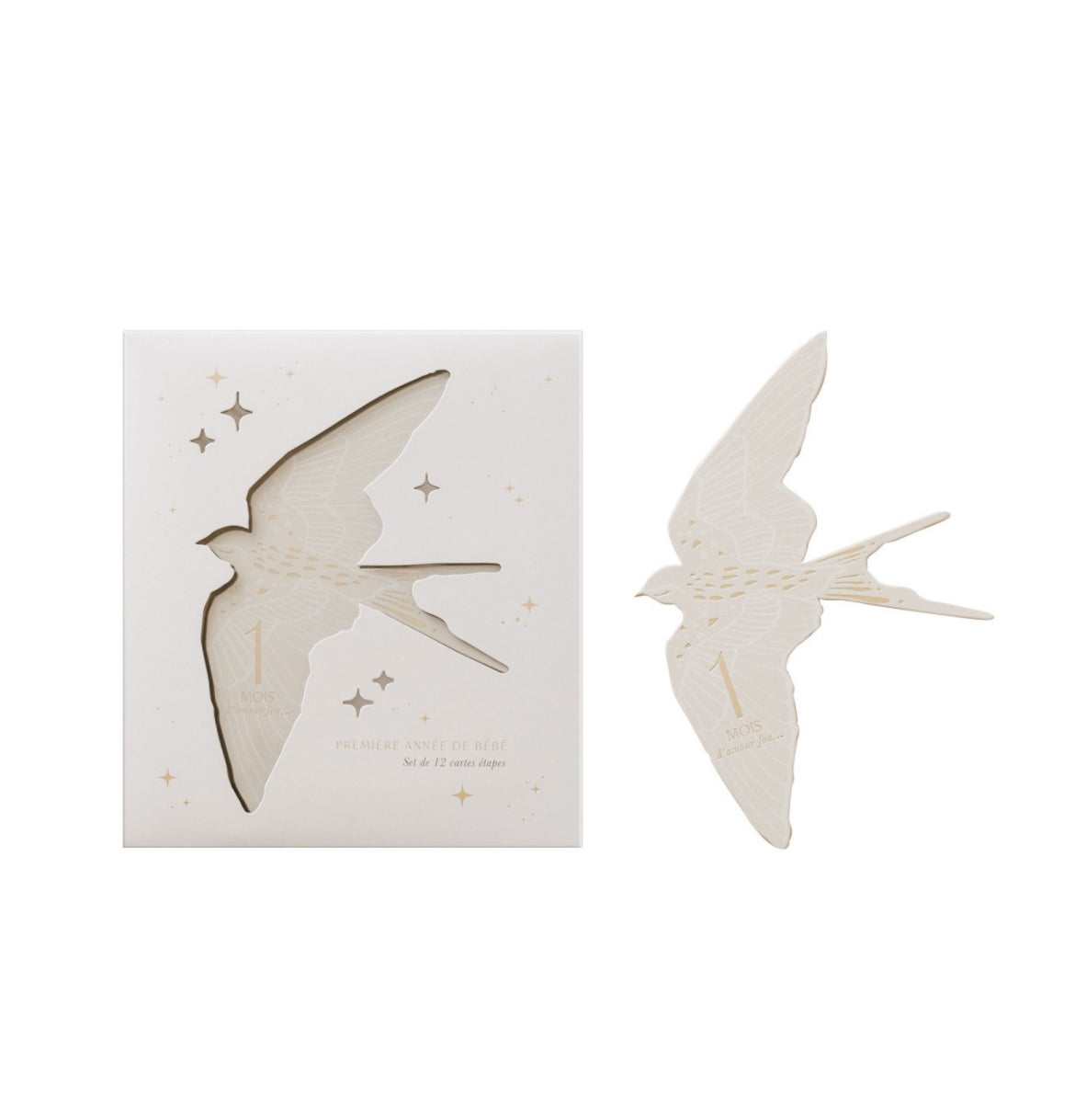 Cartes étapes - Birds - Zakuw