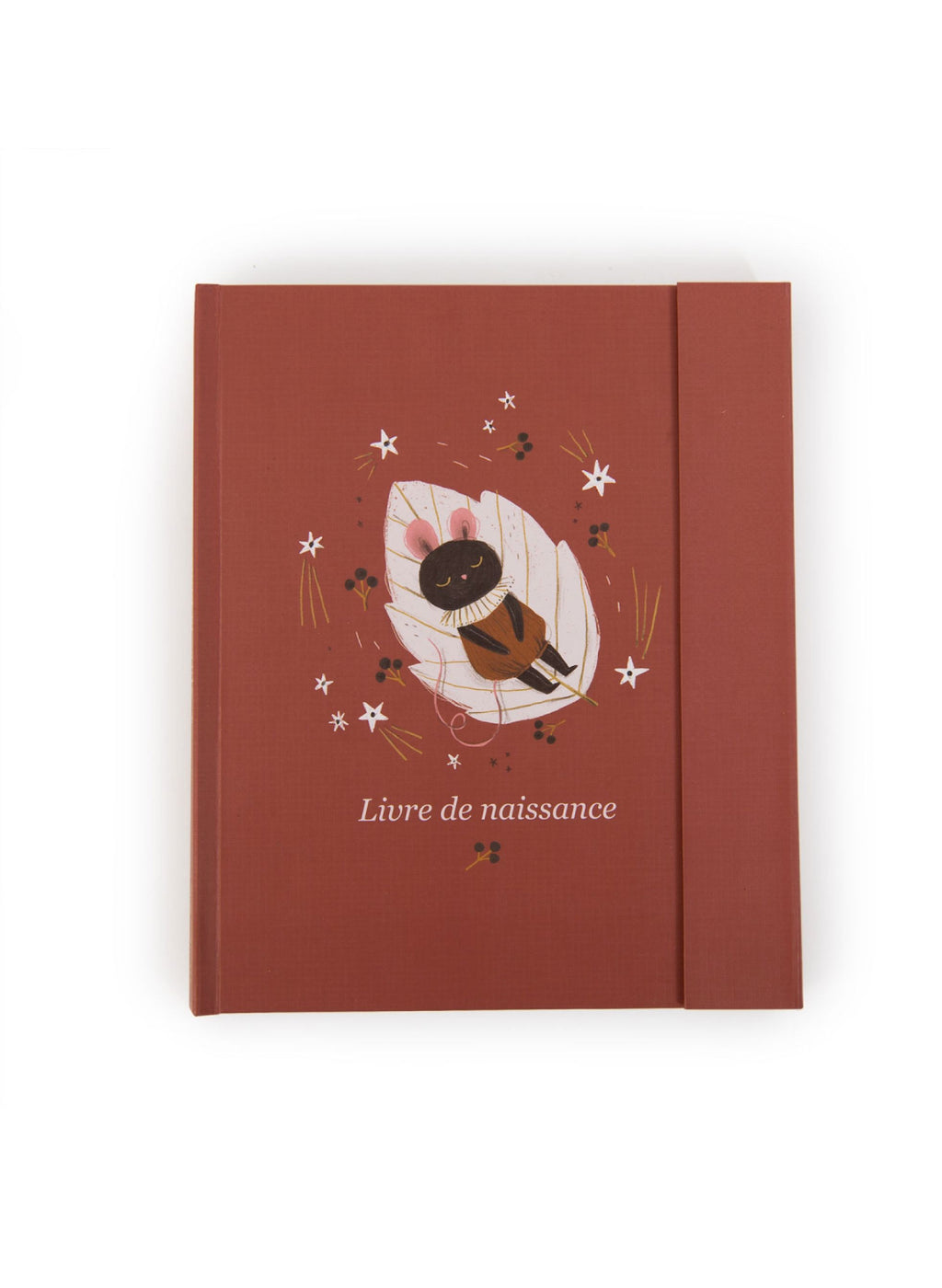 Livre de naissance  - Après la Pluie -  Moulin Roty