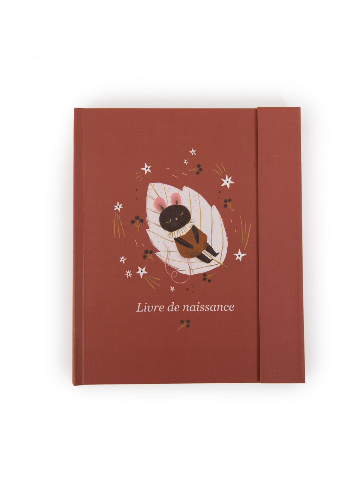 Livre de naissance  - Après la Pluie -  Moulin Roty