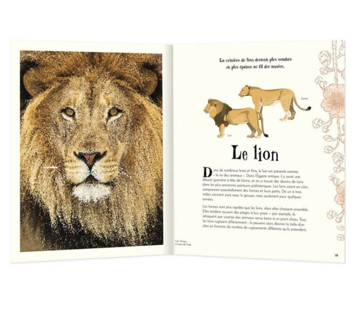 L'anthologie illustrée - Animaux fascinants - Auzou