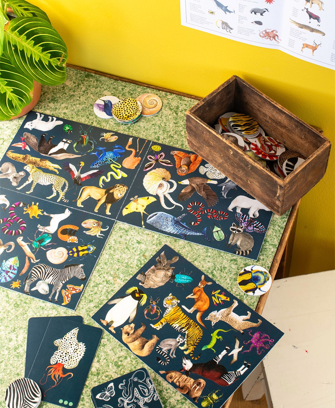 Jeu Cherche & Trouve - Tout Autour du Monde - Moulin Roty