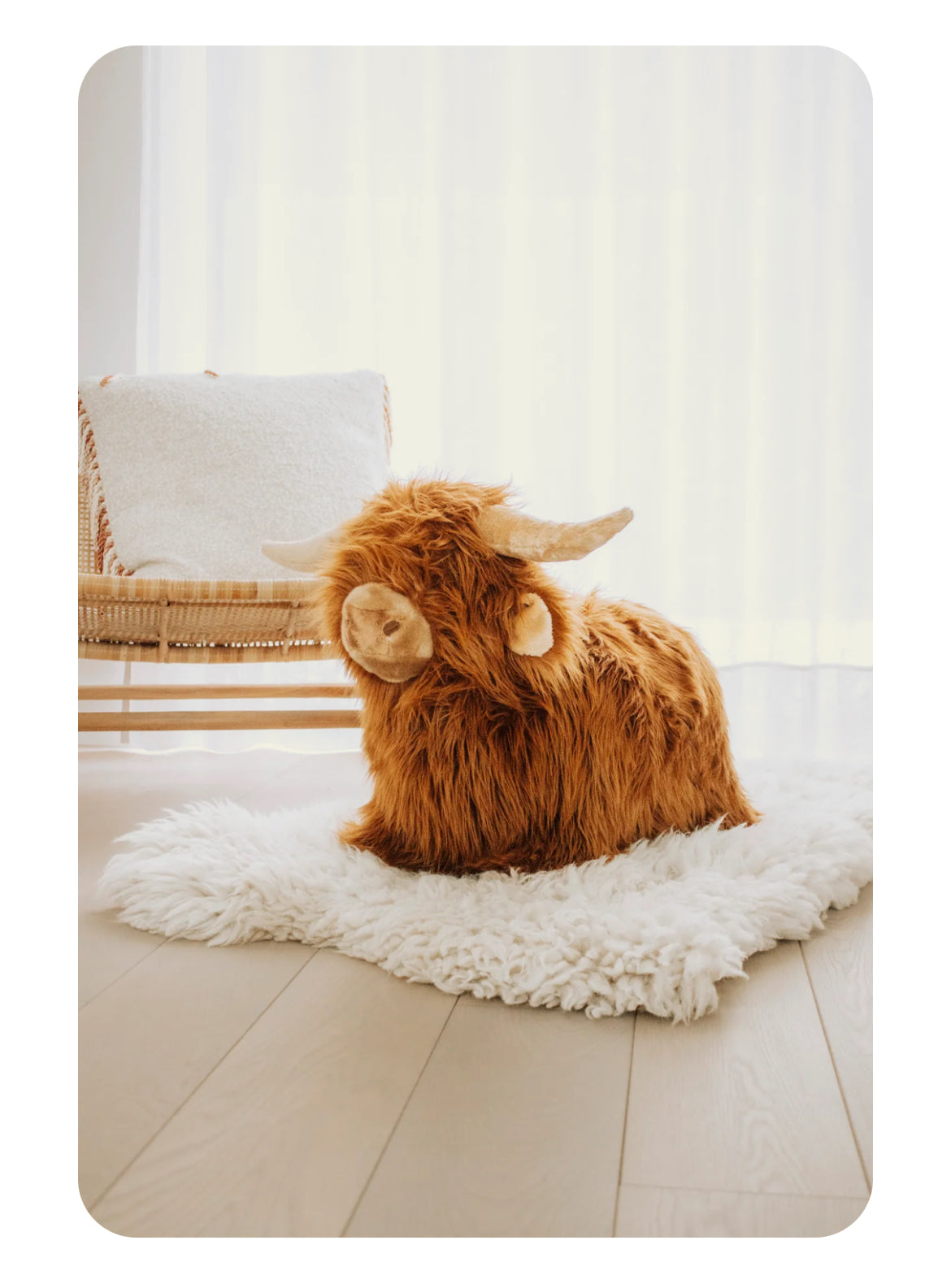 Animal sauteur  - Vache Highland -  Wild & Soft