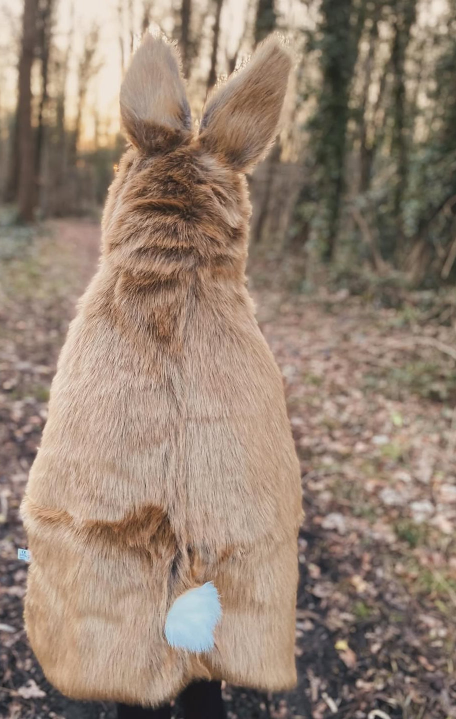 Déguisement - Lièvre  - Wild & Soft