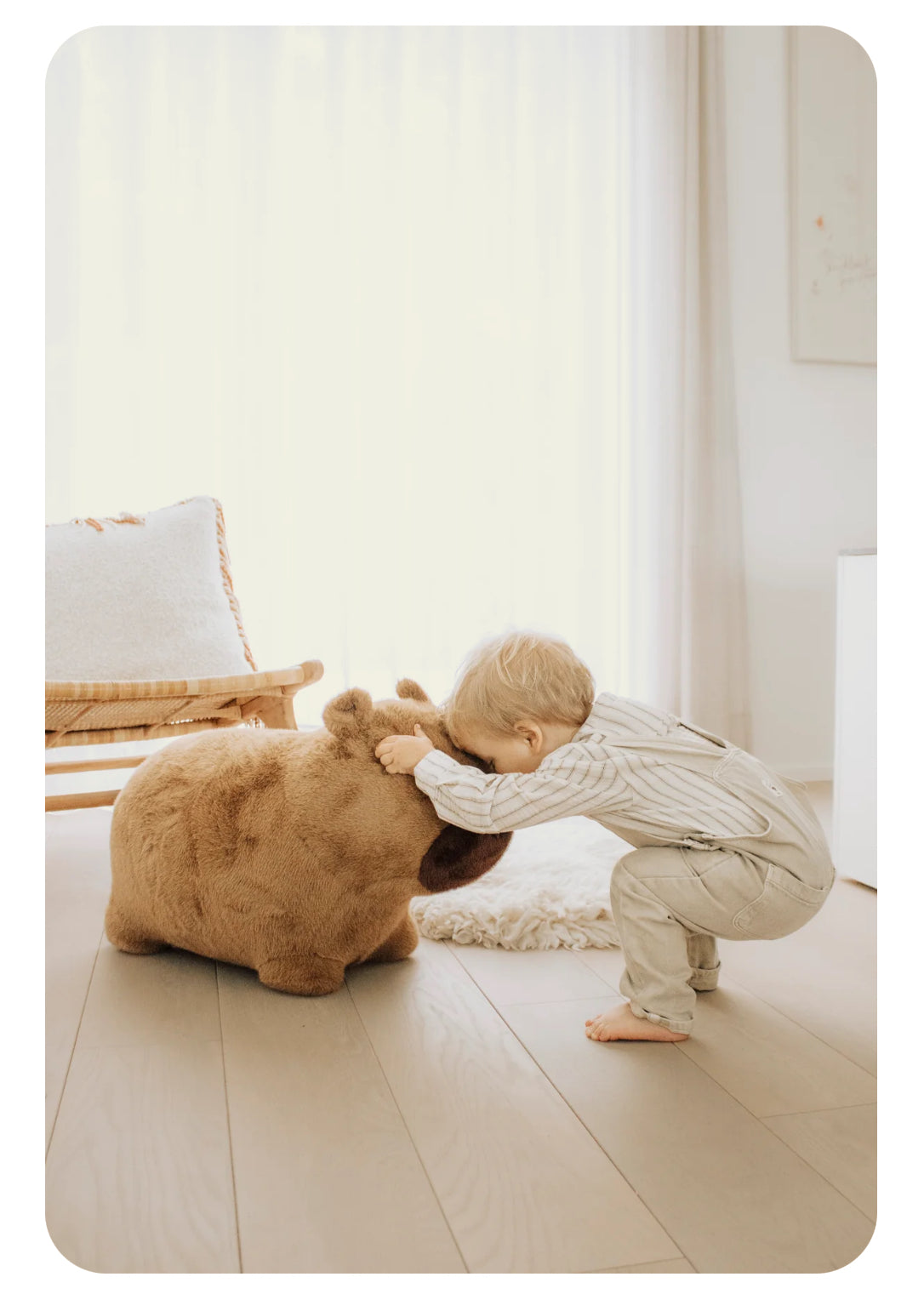 Animal sauteur  - Capybara -  Wild & Soft