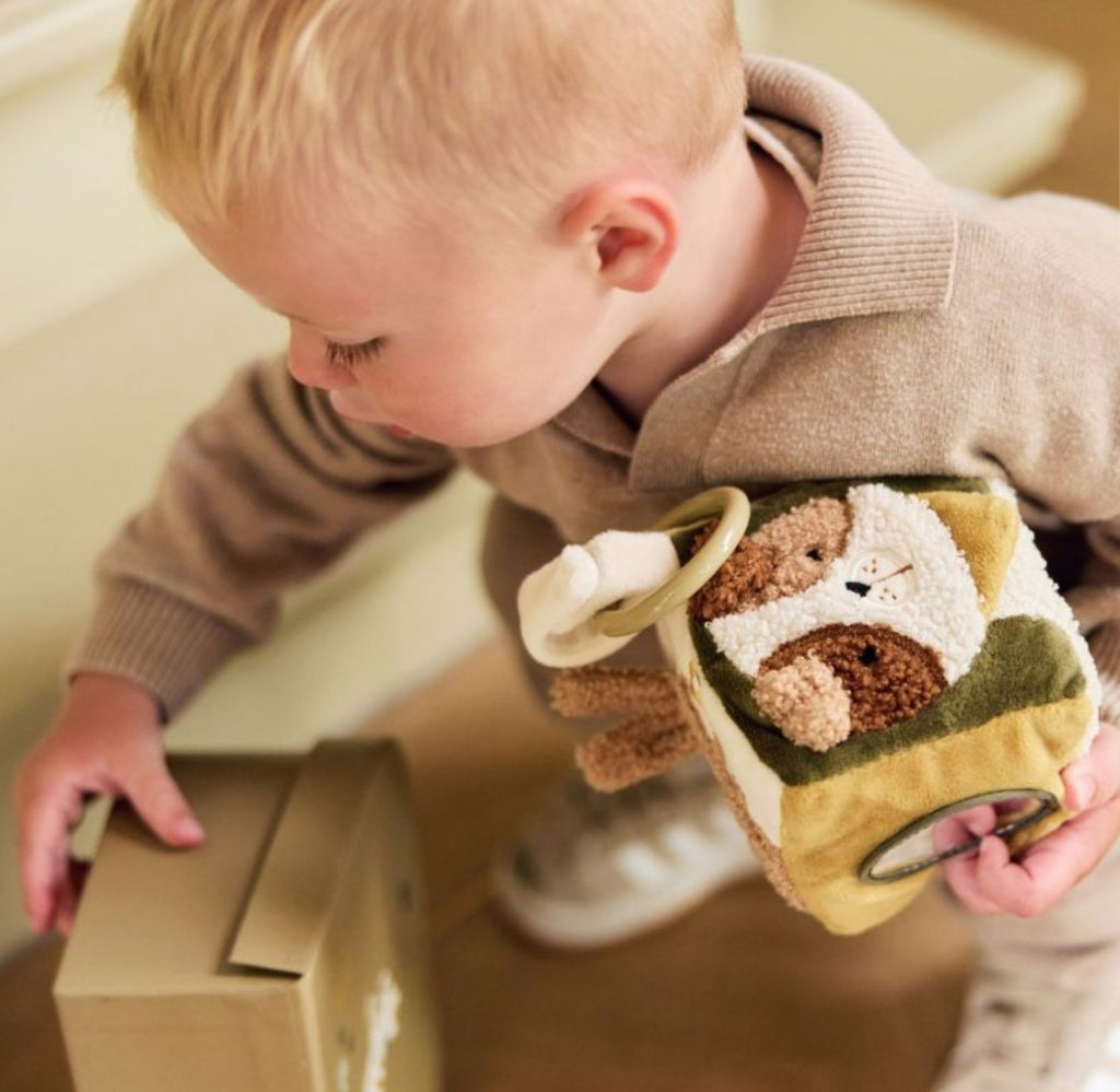 Cube d'éveil - Animal Friends - Jollein