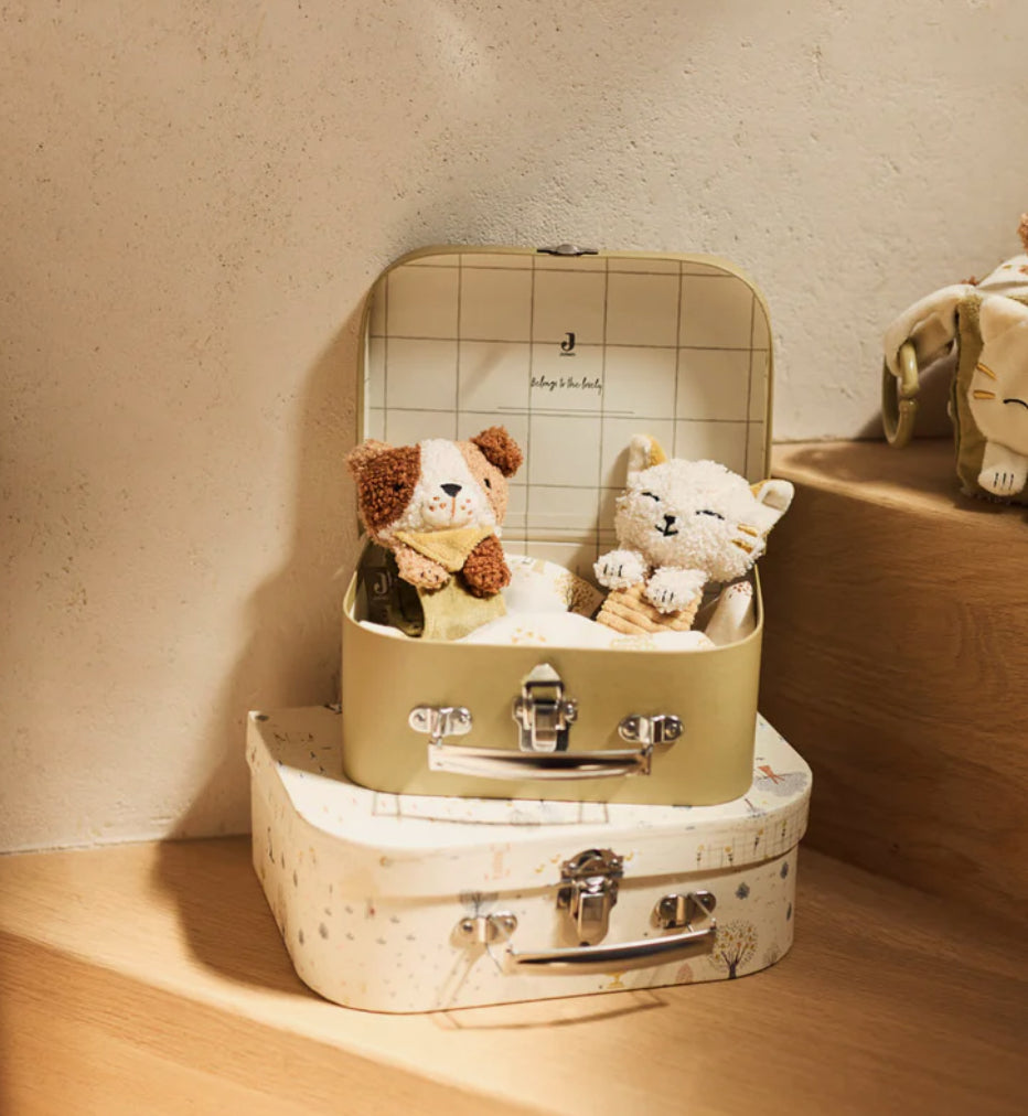 Hochet main et pied  - Mick -  Jollein