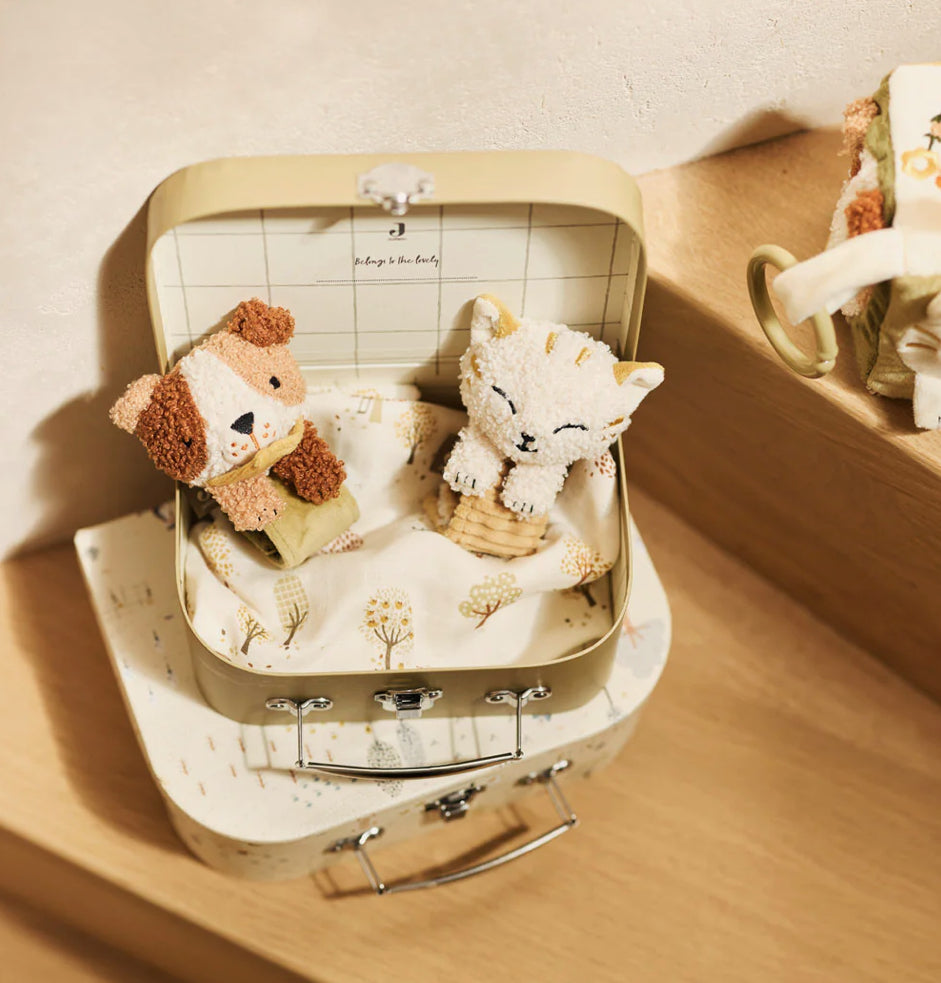 Hochet main et pied  - Charlie Cat -  Jollein