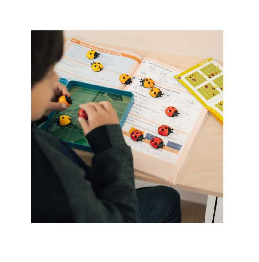 Jeu de société - Coccinnelle - Smart Games