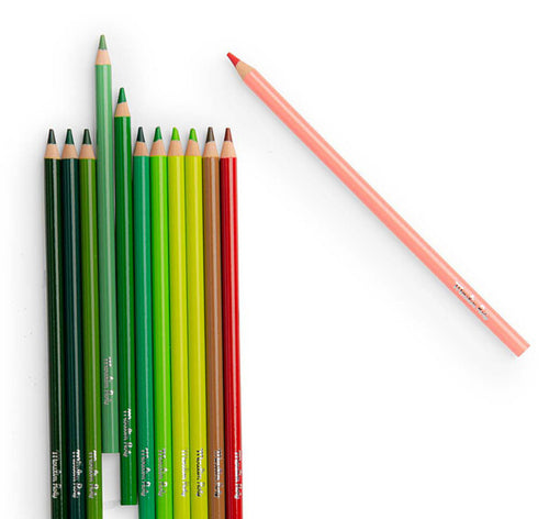 12 crayons de couleur & cartes - Le Botaniste -  Moulin Roty
