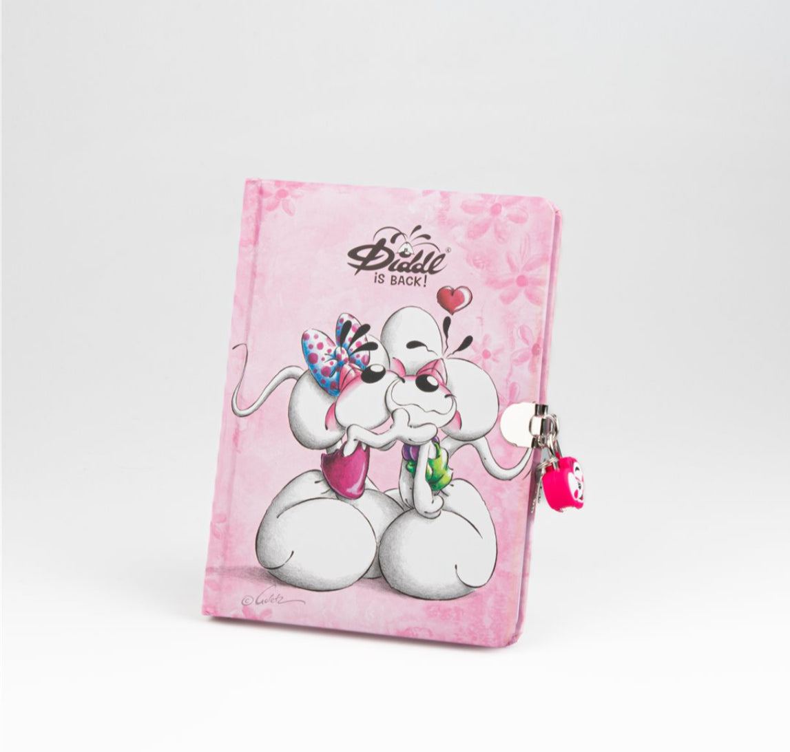 Journal secret - Diddl