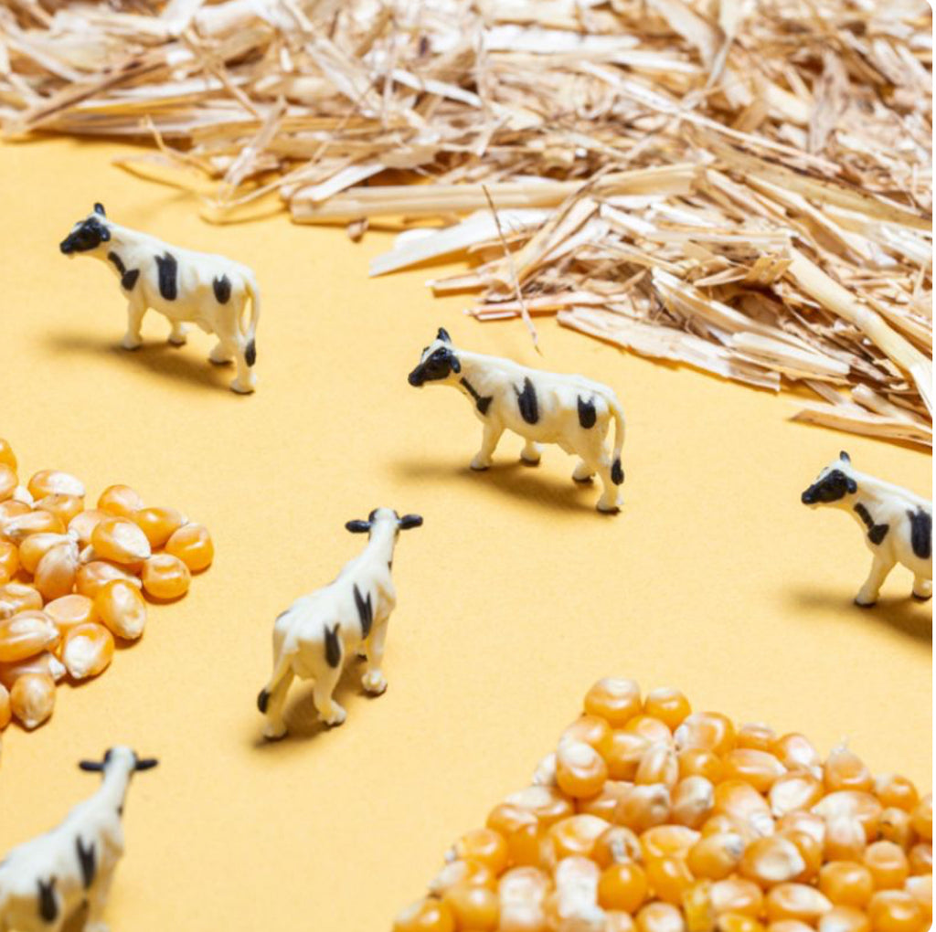 Bouteille sensorielle - La ferme - Petit Boum