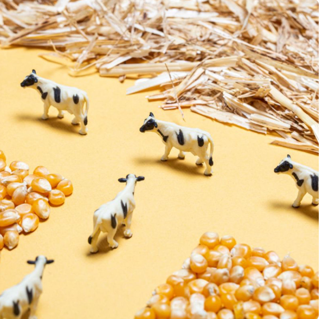Bouteille sensorielle - La ferme - Petit Boum