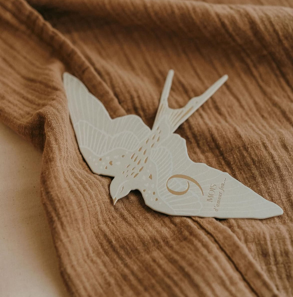 Cartes étapes  - Birds -  Zakuw