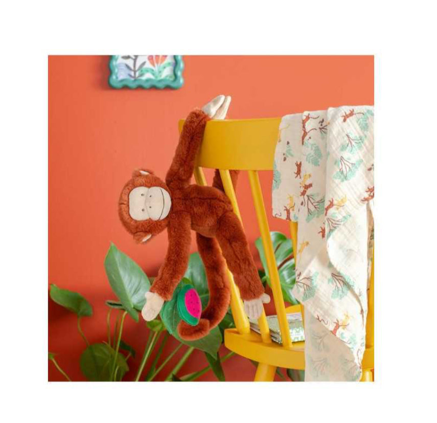 Singe d'activités à suspendre - La Forêt Mawa - Moulin Roty