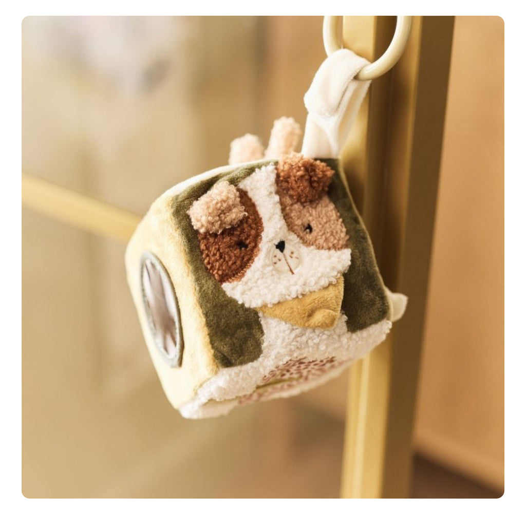 Cube d'éveil - Animal Friends - Jollein