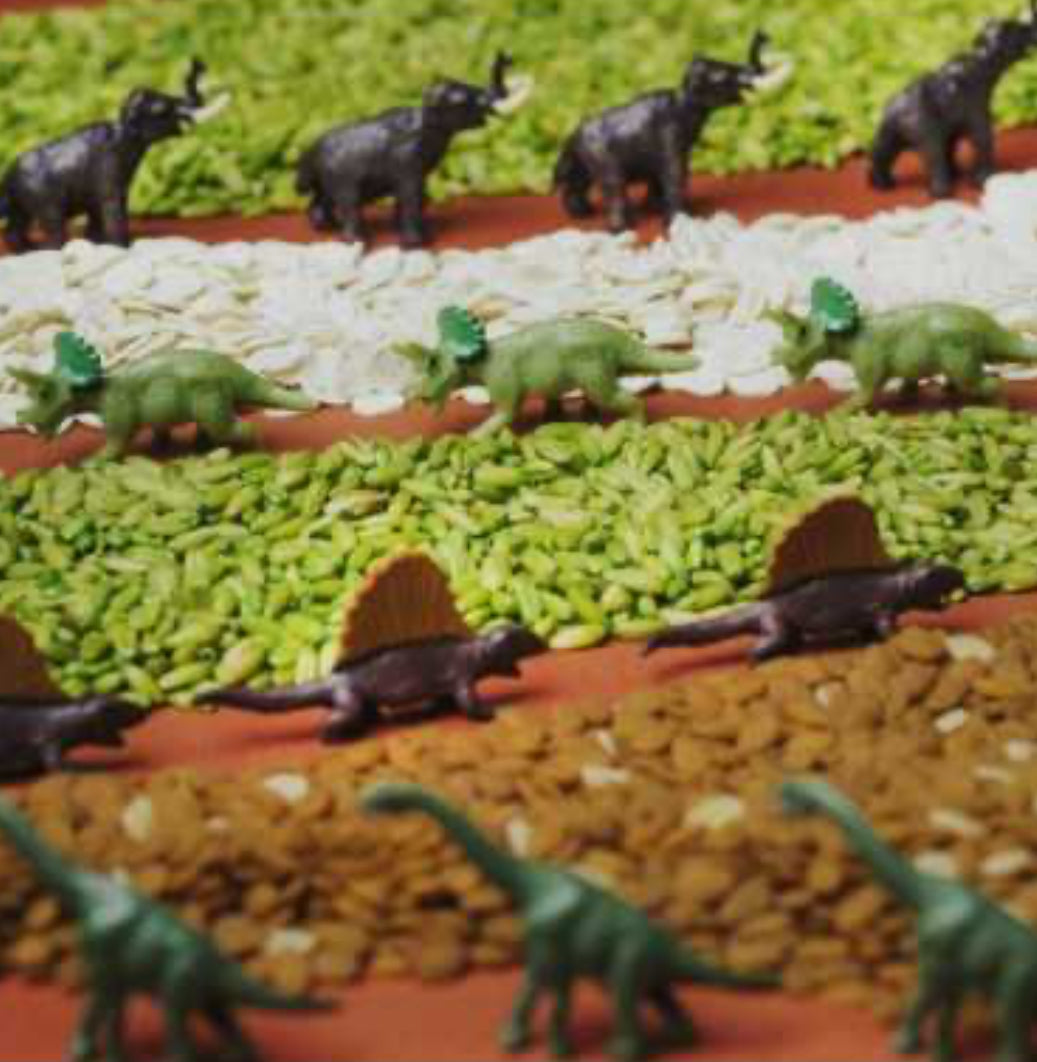 Bouteille sensorielle - Jurassic - Petit Boum