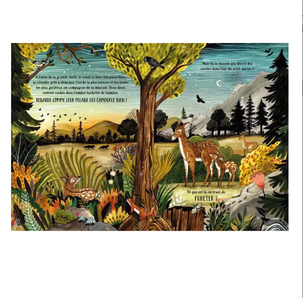 Livre - Dans la forêt secrète - Auzou