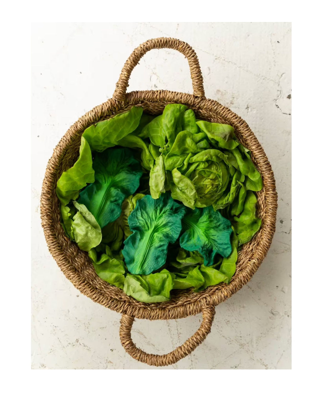 Anneau de dentition - Kendall le chou Kale - Oli & Carol