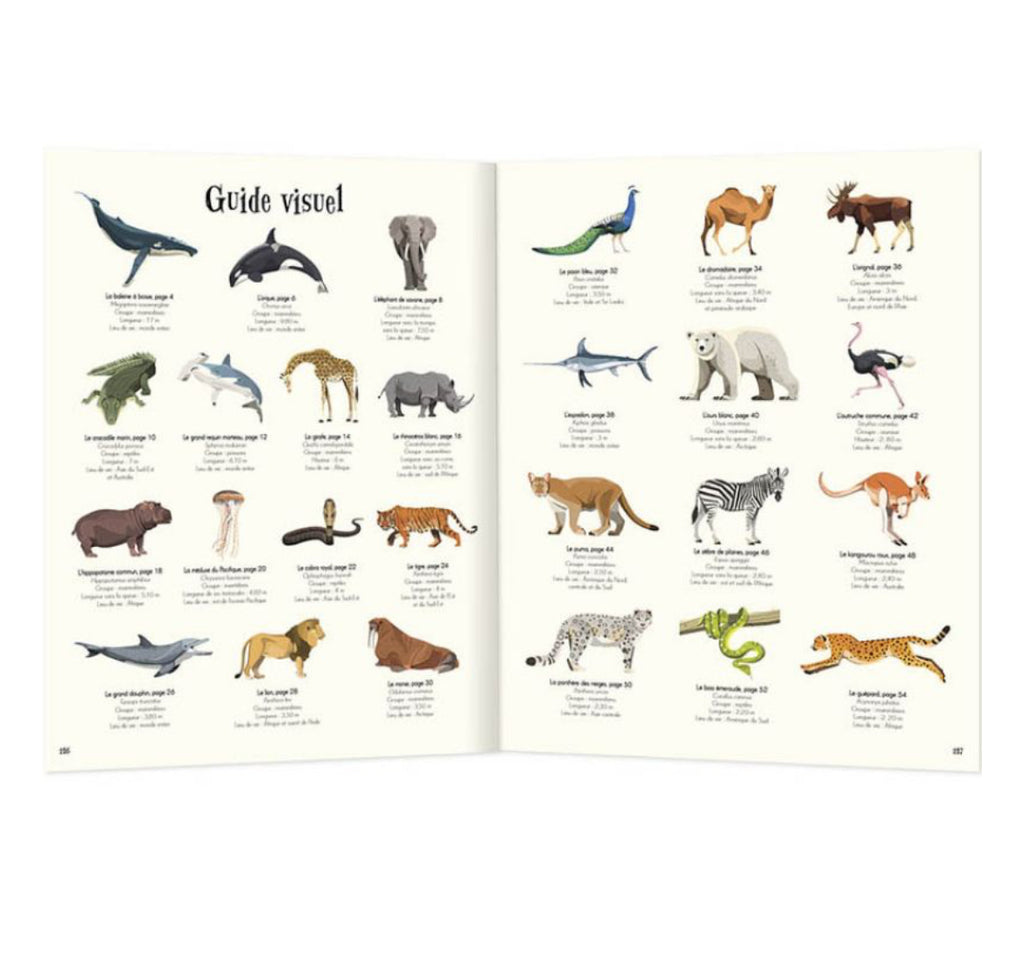 L'anthologie illustrée - Animaux fascinants - Auzou