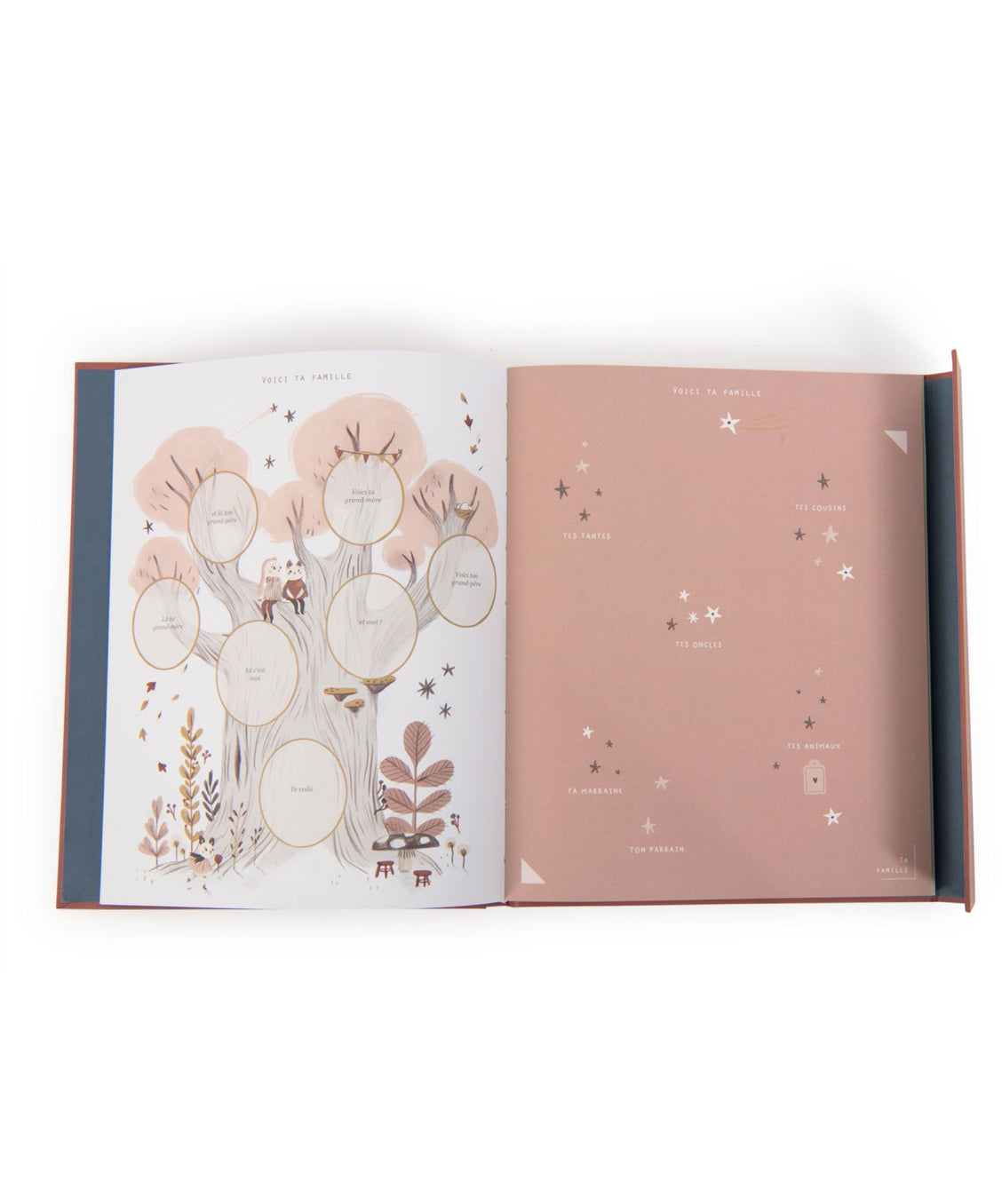 Livre de naissance  - Après la Pluie -  Moulin Roty