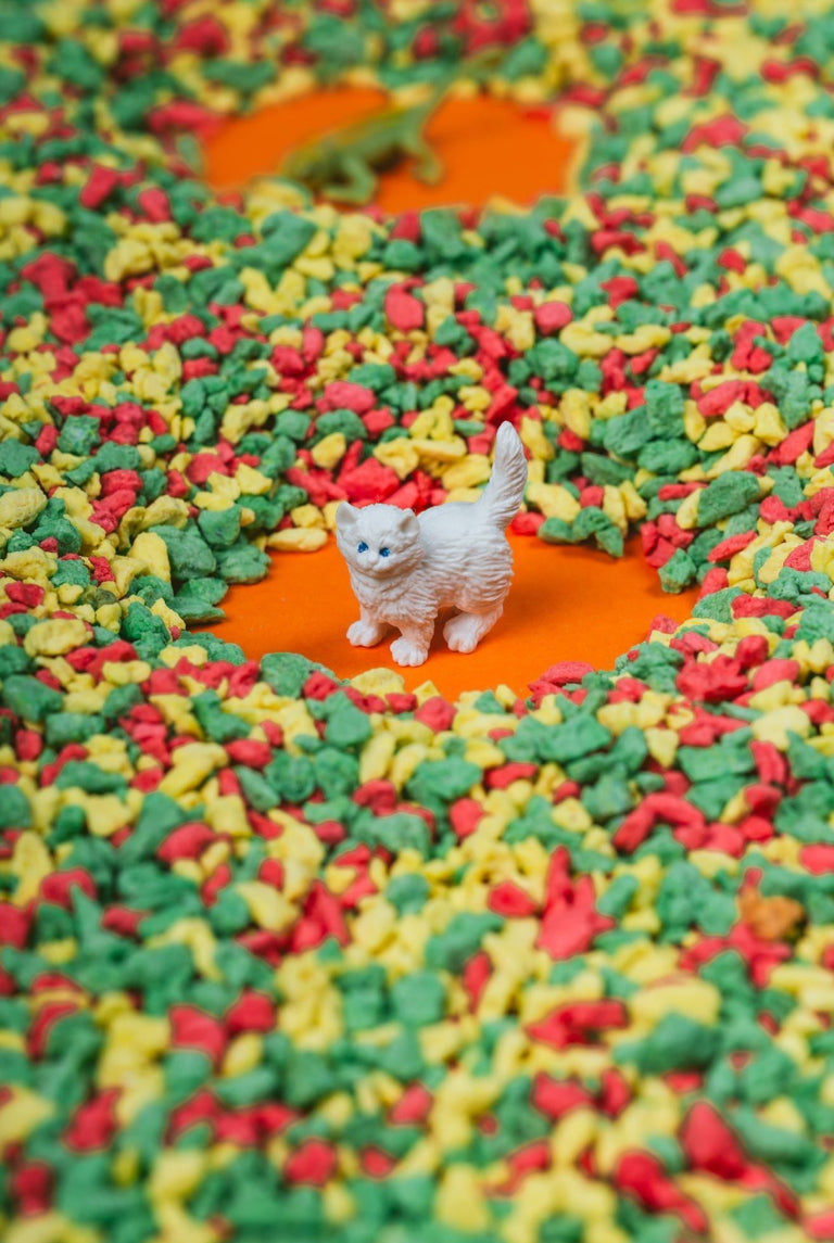 Bouteille sensorielle - Animaux de Compagnie - Petit Boum
