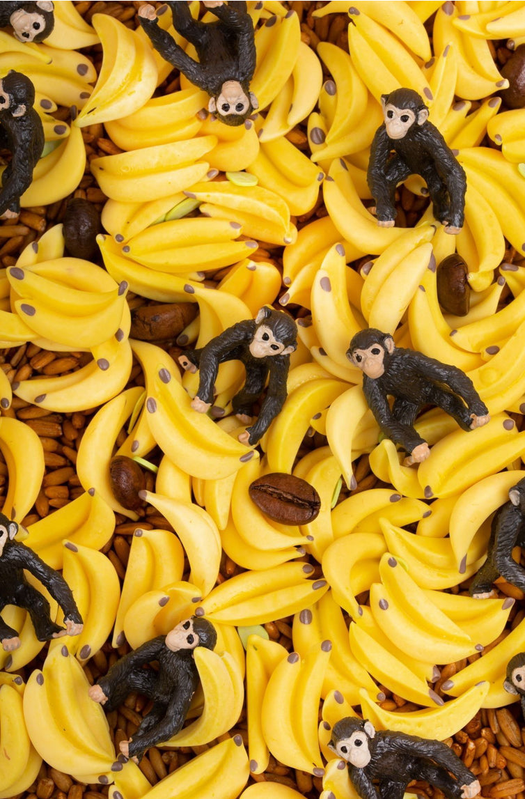 Bouteille sensorielle - Singe - Petit Boum