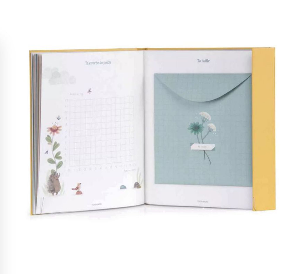Livre de naissance  - Les Trois Petits Lapins -  Moulin Roty