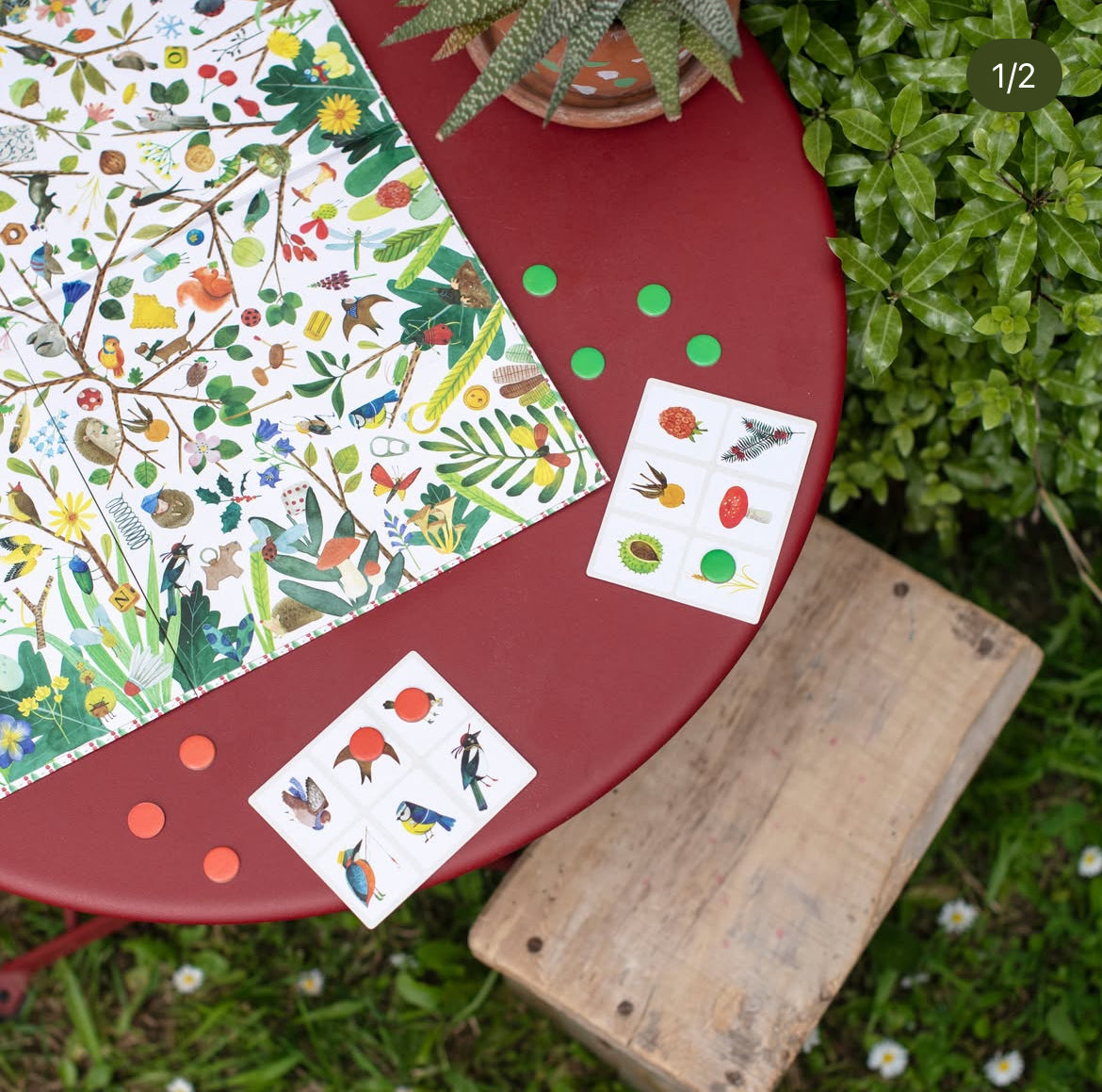 Jeu d'observation - Les Trésors du Jardin - Moulin Roty