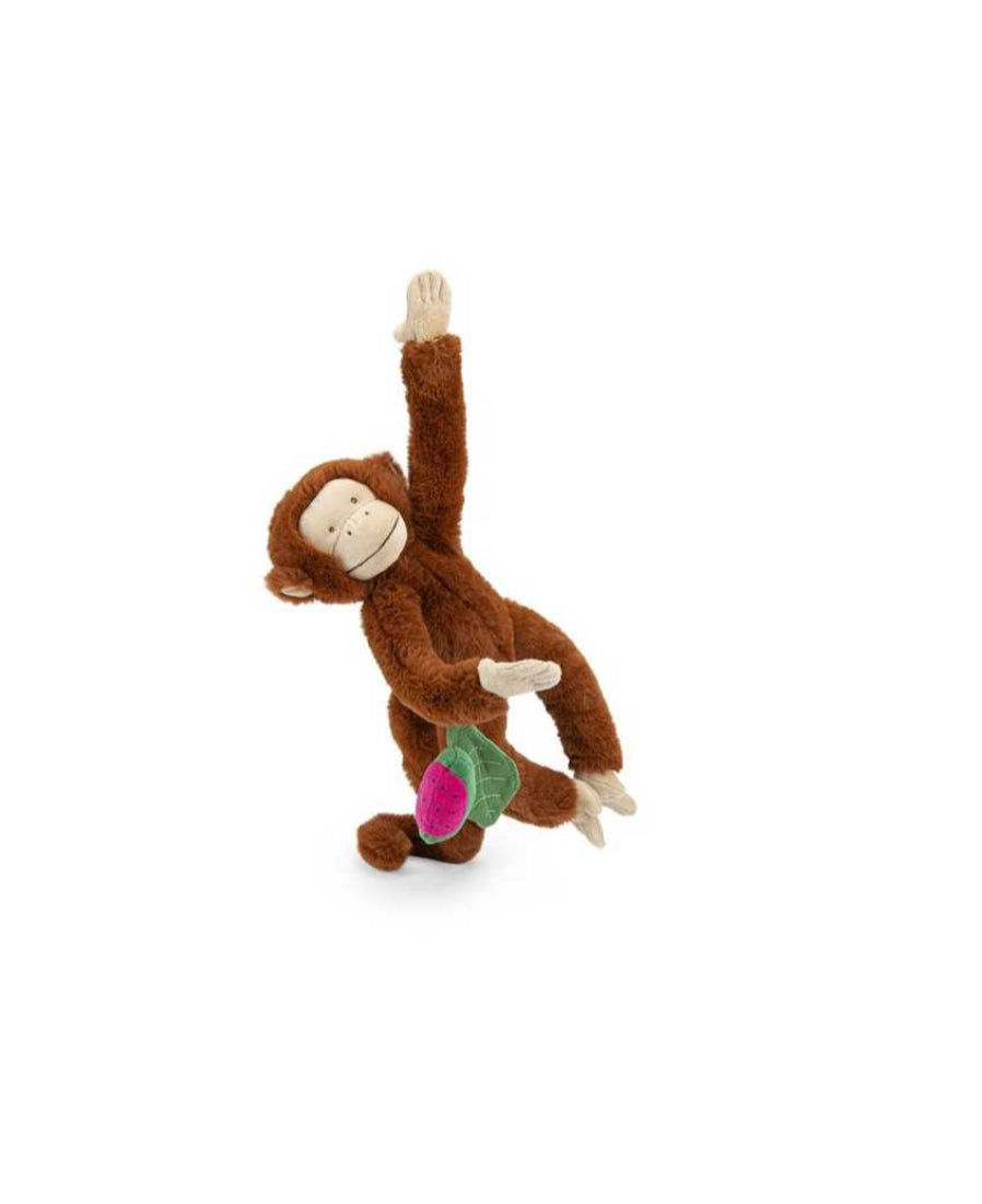 Singe d'activités à suspendre - La Forêt Mawa - Moulin Roty