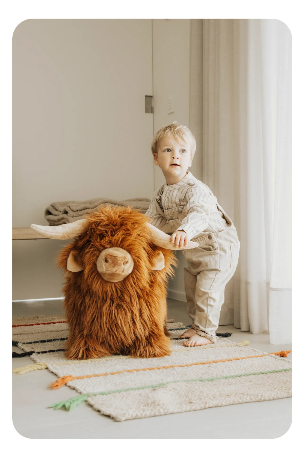 Animal sauteur  - Vache Highland -  Wild & Soft