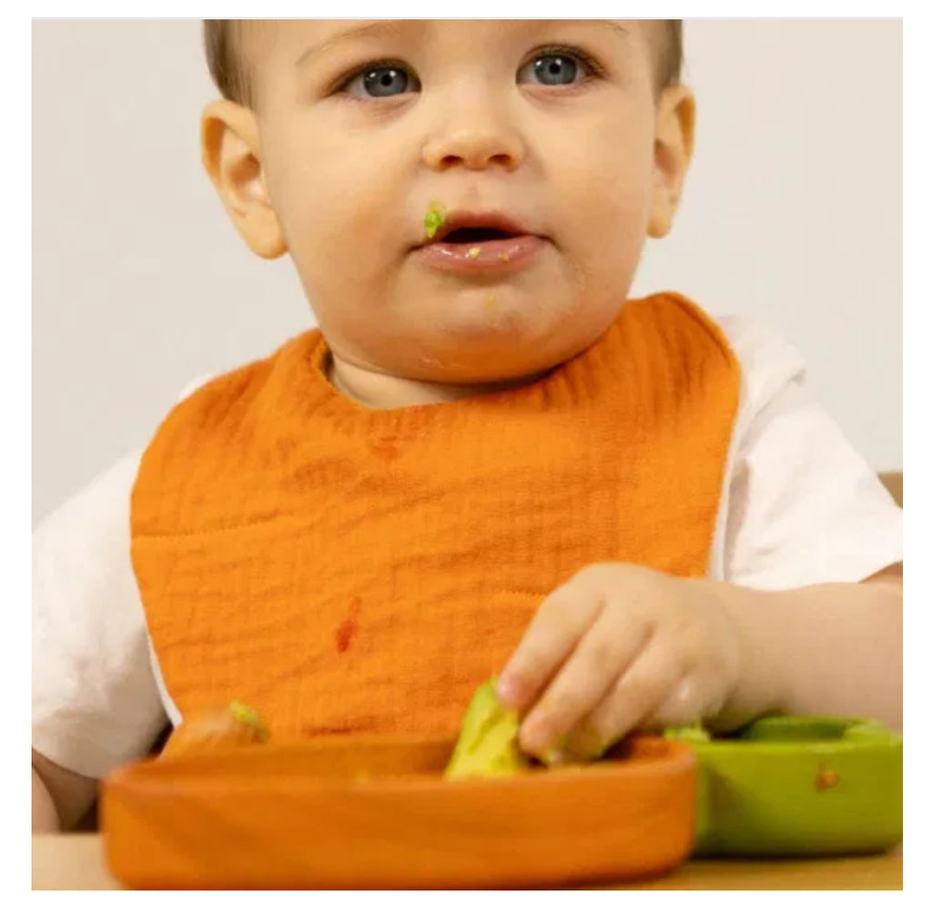 Bavoir - Cathy la carotte - Oli & Carol