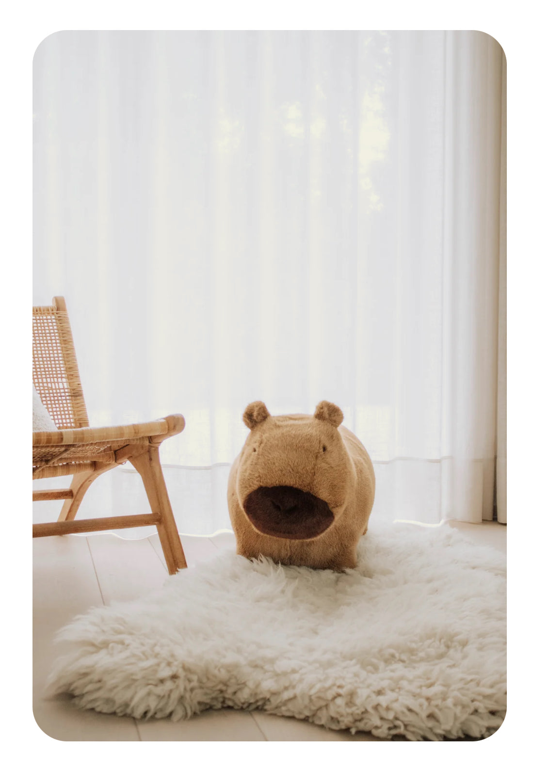 Animal sauteur  - Capybara -  Wild & Soft