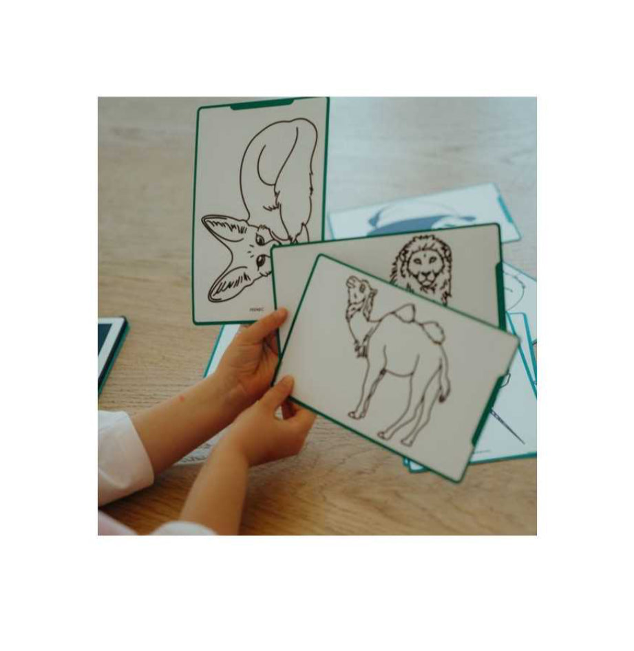 Recharge tablette à dessin Kidydraw Mini - Animaux / Océan et Pirates - Kidywolf