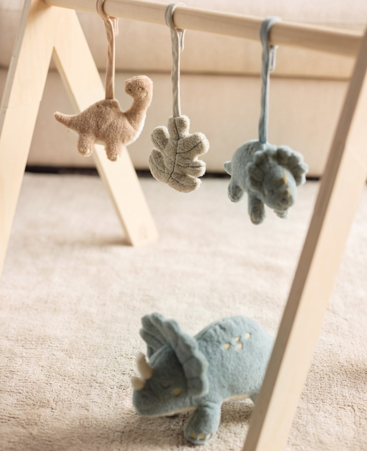 Arche en bois - Jollein - photo