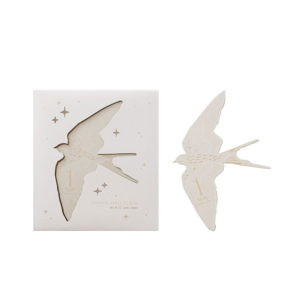 Cartes étapes  - Birds -  Zakuw