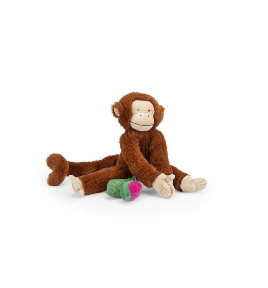 Singe d'activités à suspendre - La Forêt Mawa - Moulin Roty
