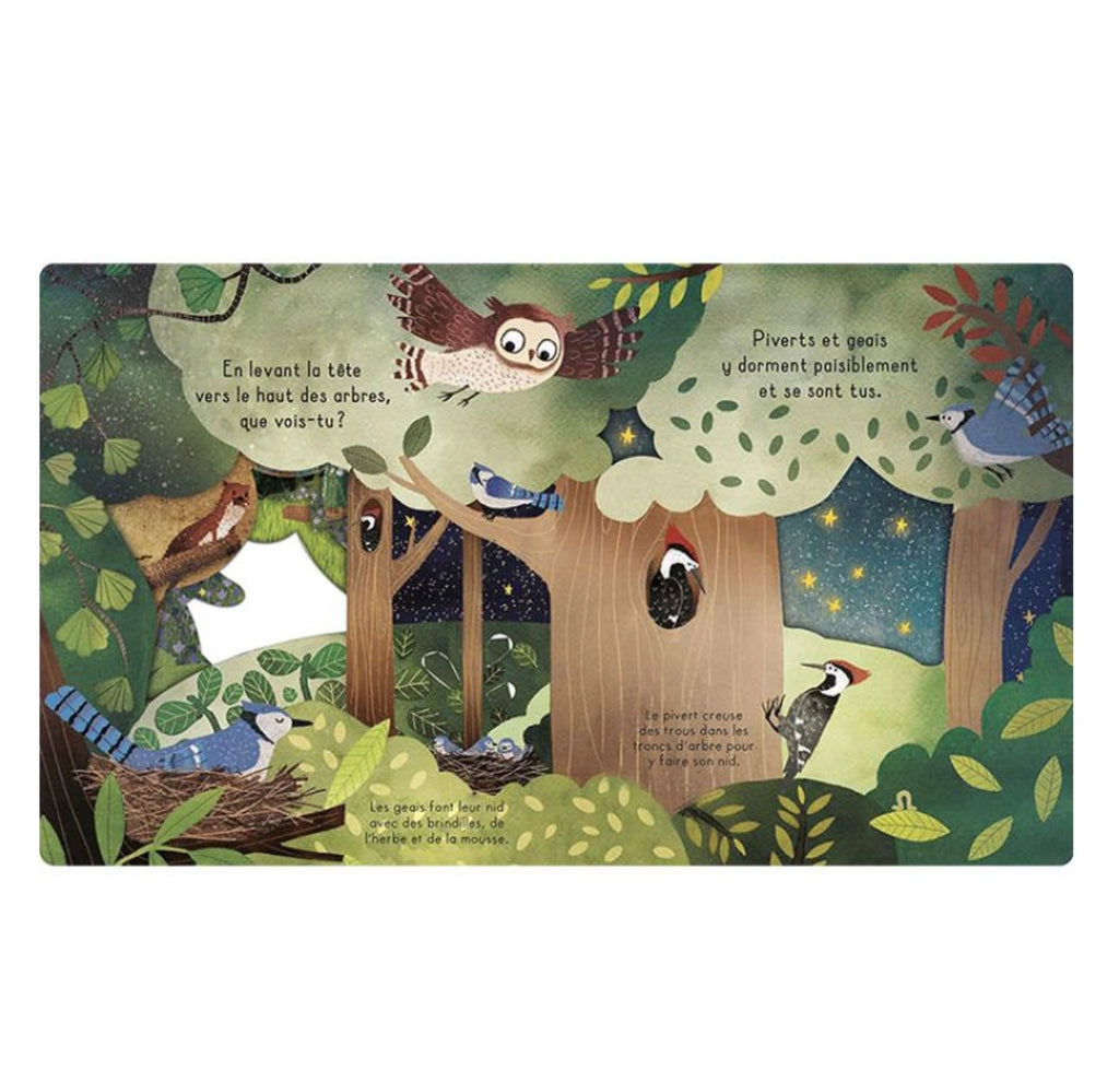 Livre - Bonne nuit la forêt - Kimane