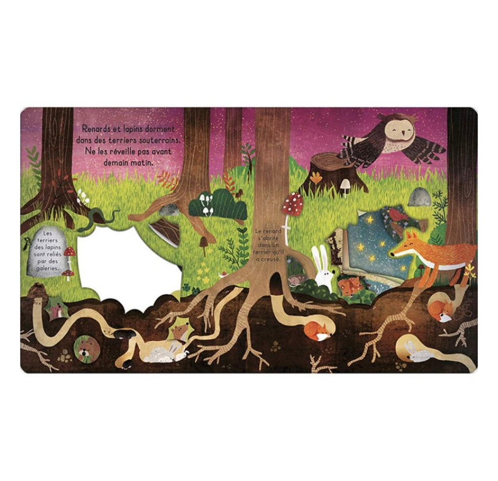 Livre - Bonne nuit la forêt - Kimane