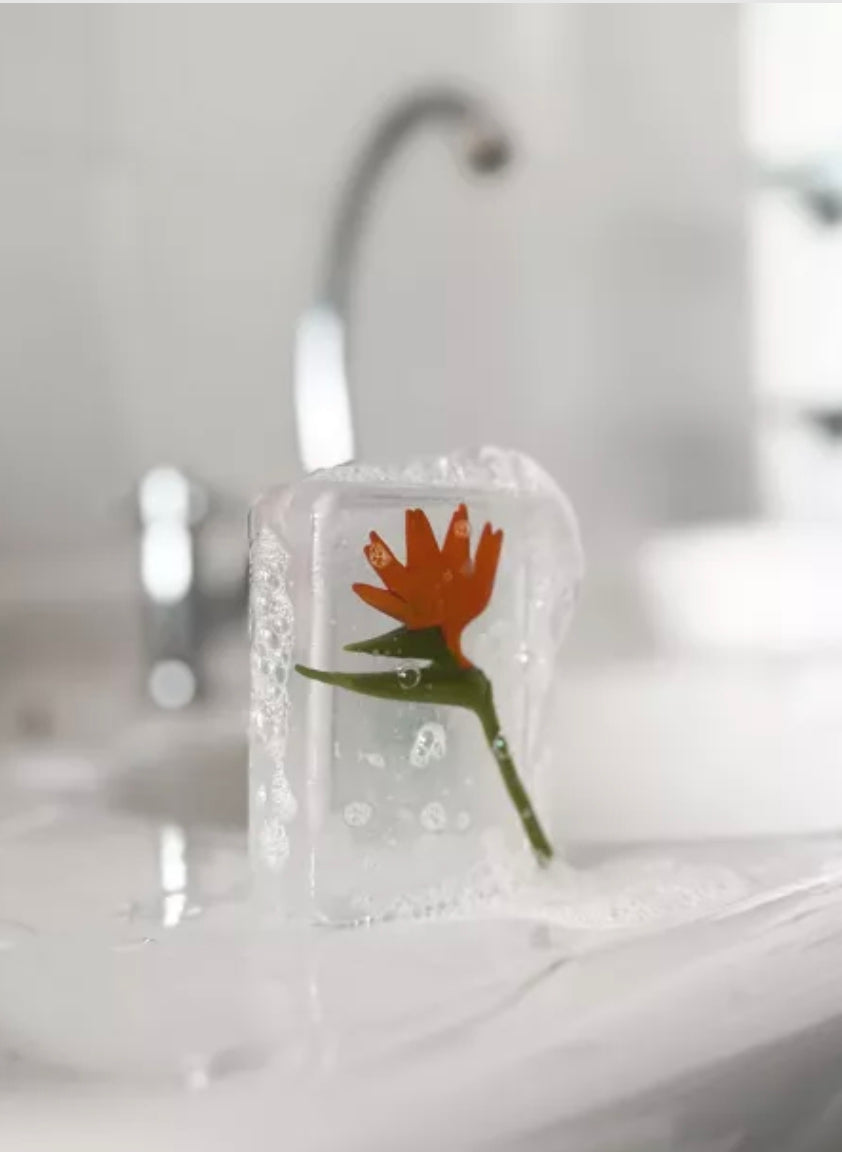 Savon artisanal - Oiseau de Paradis - Ludi Soap