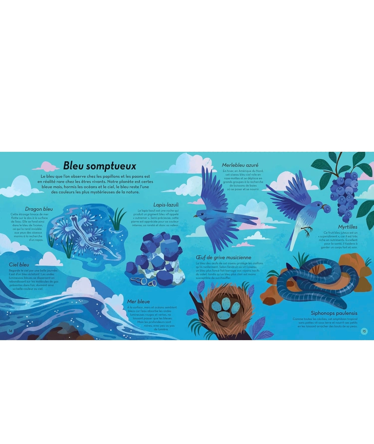 Livre - Les couleurs de la nature - Kimane
