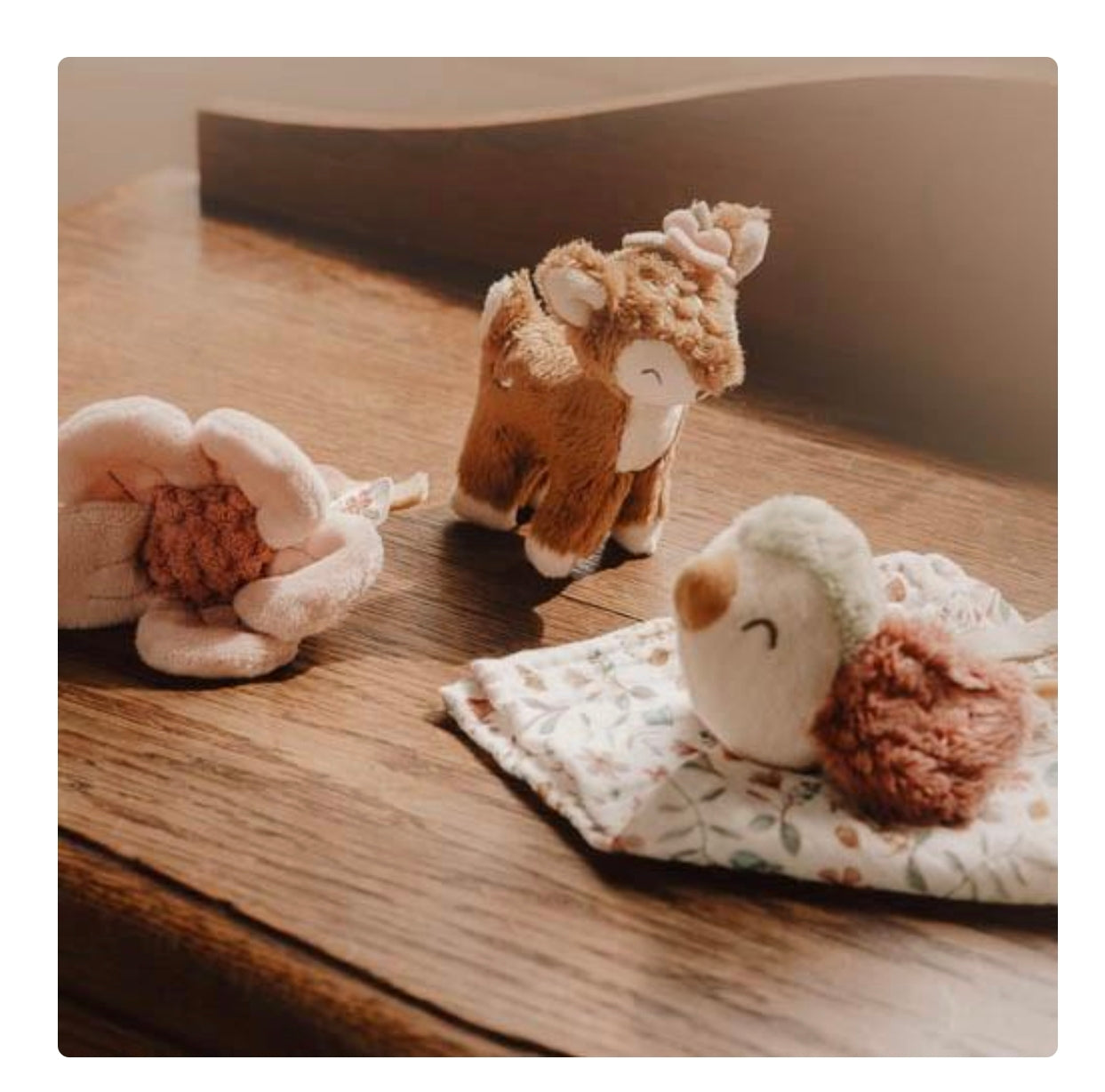 Coffret cadeau - Fairy Garden - Little Dutch