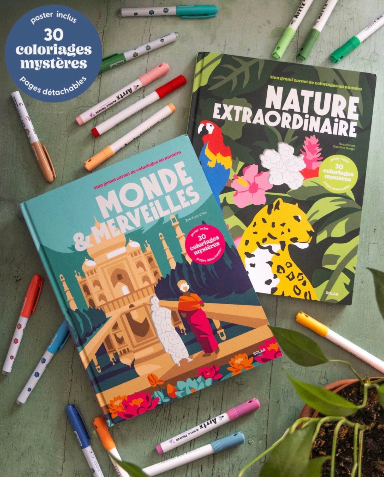Coloriage au numéro - Nature extraordinaire - Solar