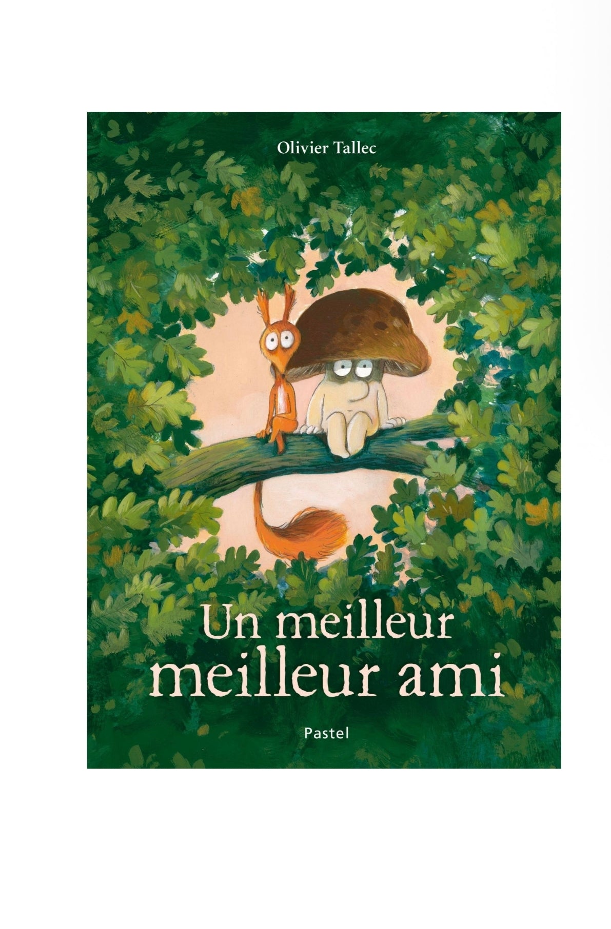 Livre - Un meilleur meilleur ami - Moulin Roty
