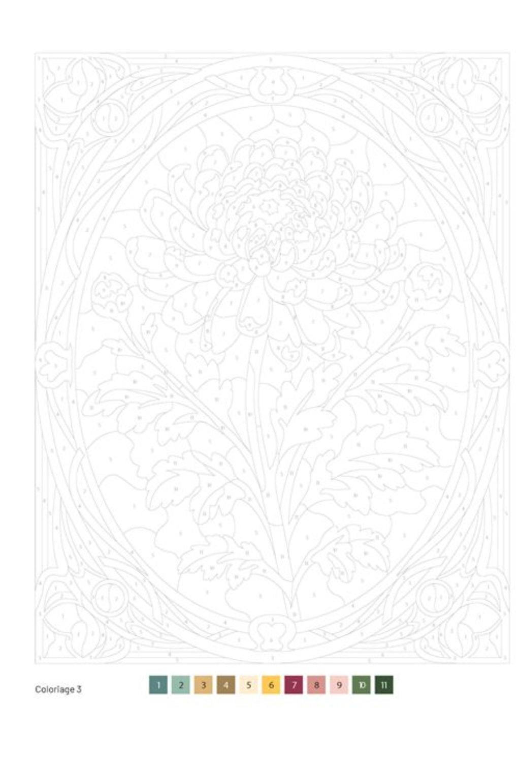 Coloriage au numéro - Fleurs et Fruits - Solar