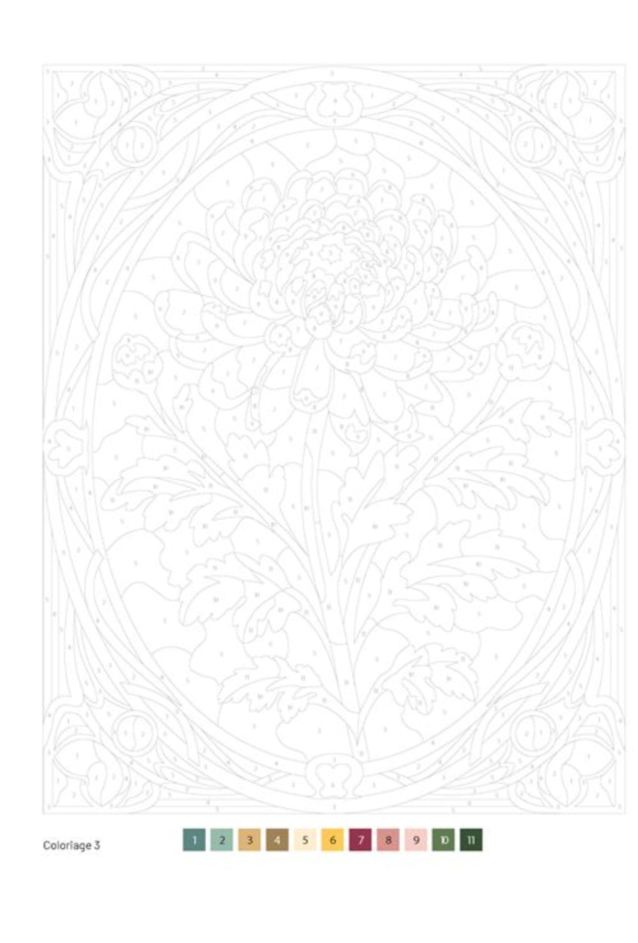 Coloriage au numéro - Fleurs et Fruits - Solar