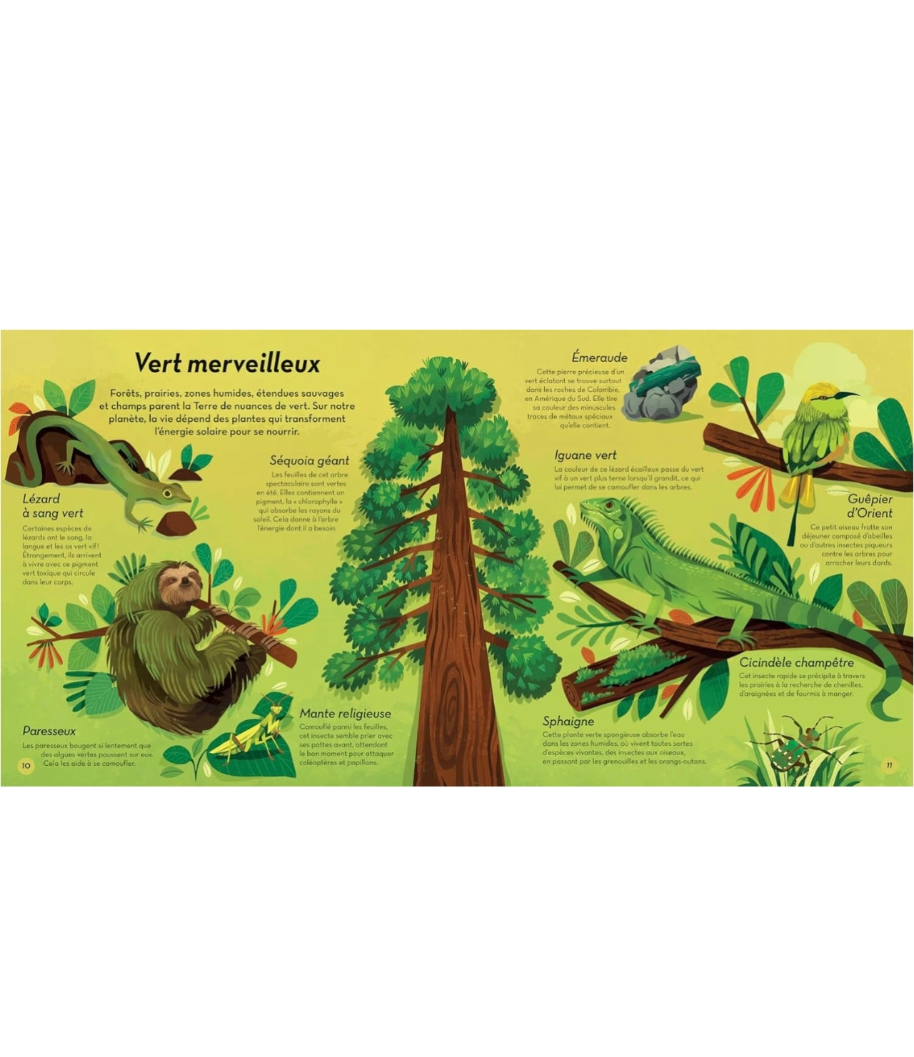 Livre - Les couleurs de la nature - Kimane