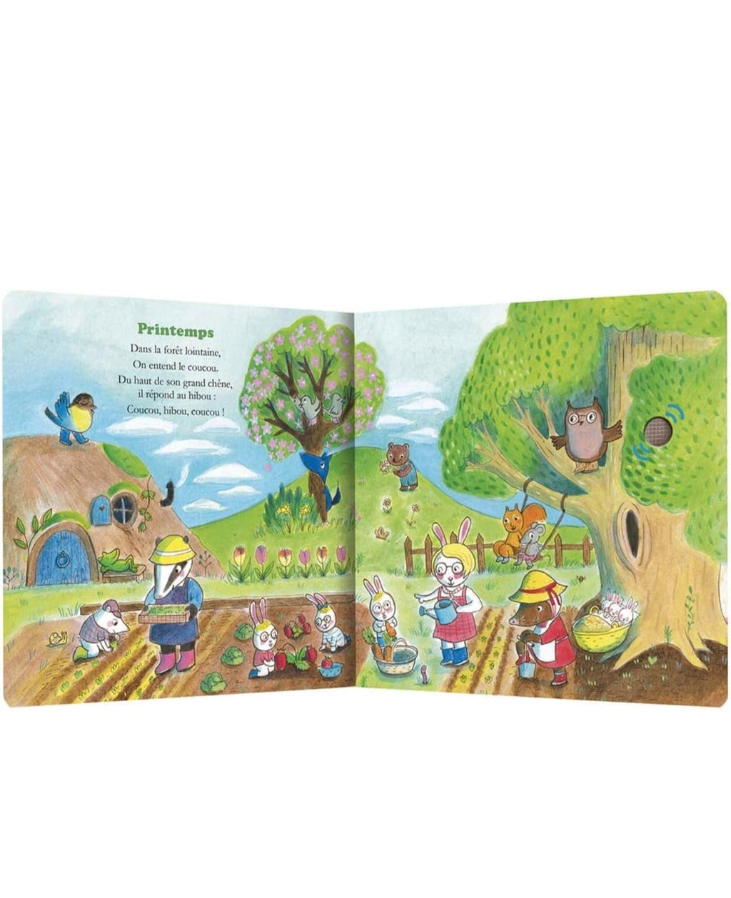 Livre sonore - Les comptines des 4 Saisons avec Petite Taupe - Auzou