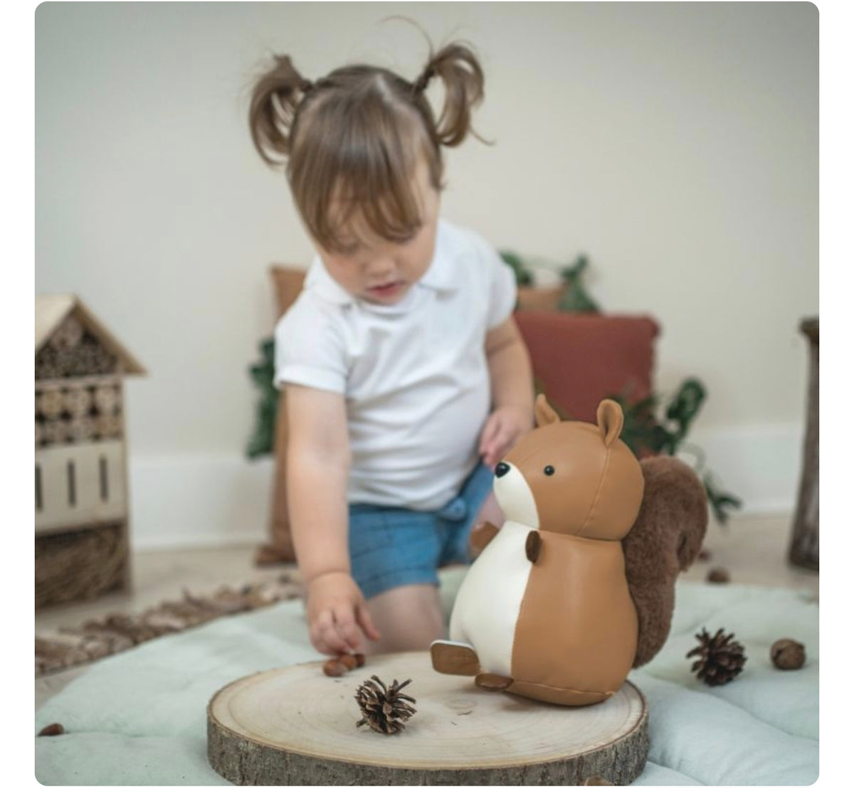 Les animaux musicaux - Alex l'Ecureuil - Little Big Friends