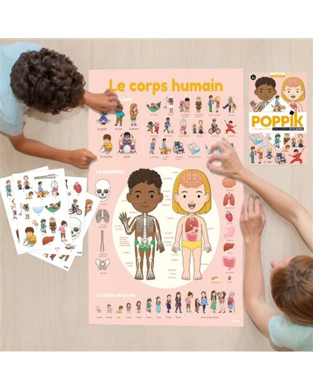 Poster et stickers - Corps Humain - Poppik