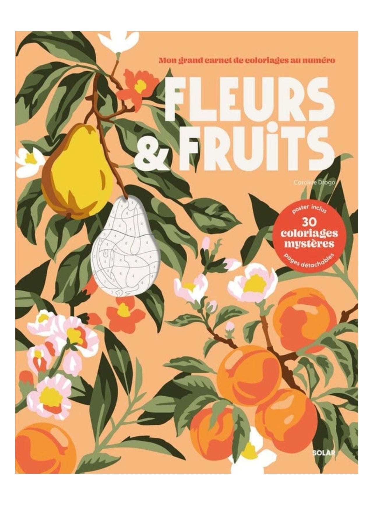 Coloriage au numéro - Fleurs et Fruits - Solar